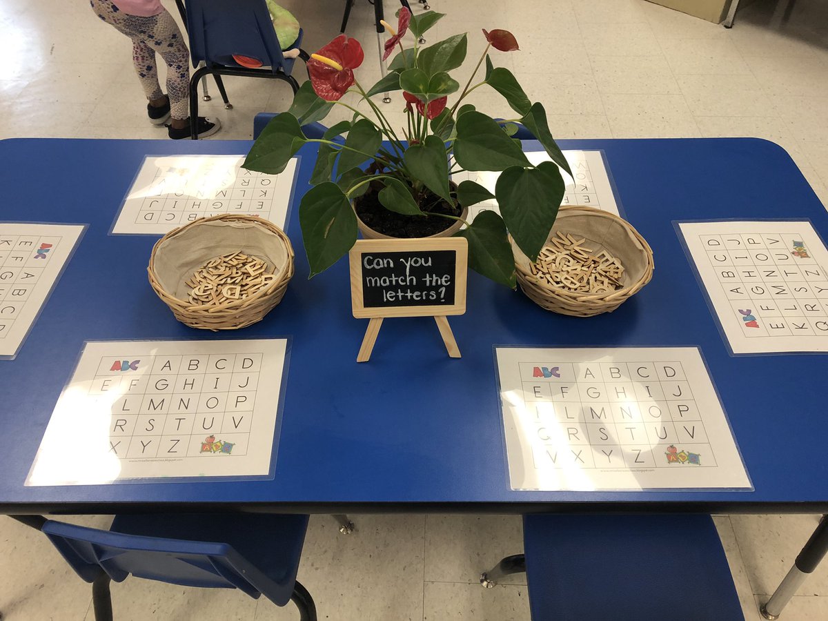 Ms. Mazzulla tweet media