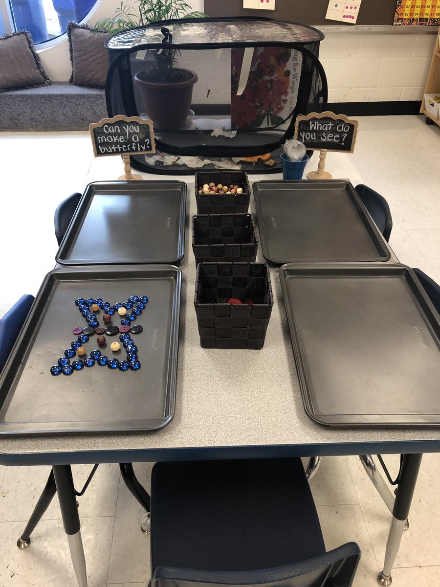 Ms. Mazzulla tweet media