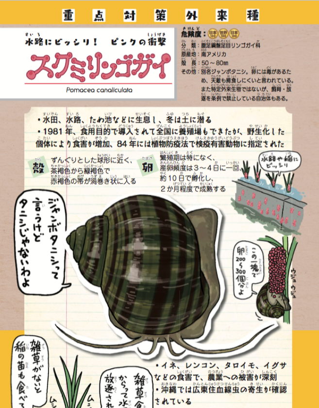 @nhk_seikatsu タニシ、タニシ言うけど、実はタニシじゃない、食用目的で導入された水路を埋め尽くすピンクの衝撃ジャンボタニシこと?スクミリンゴガイも載ってる『侵略！#外来いきもの図鑑』絶賛発売中です。

「ジャンボタニシ… 