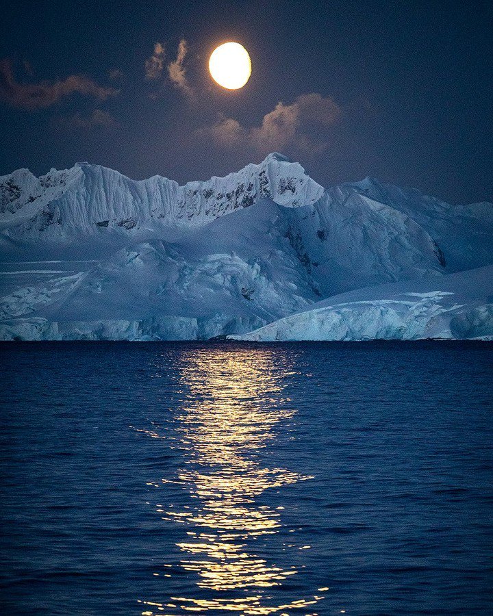 dice_marc's tweet photo. Antarctica (ph by Kahli April Hindmarsh) [720x900] via https://t.co/YkxOiaRw1N https://t.co/GfWCgbc1WP
