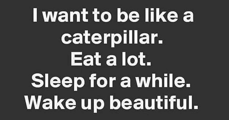 What are your plans for this summer? #teacherlife