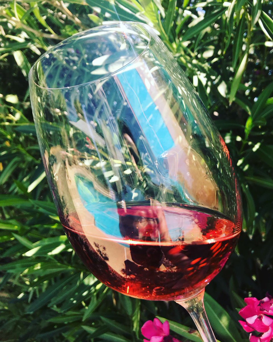 RedWineCats's tweet photo. @suziday123 @_drazzari @boozychef @jflorez Nice pregame Suzi!!! I just opened #LarnerWine ‘s rosé !! 💕🍷😬Cheers! https://t.co/tZLXvNBnLo