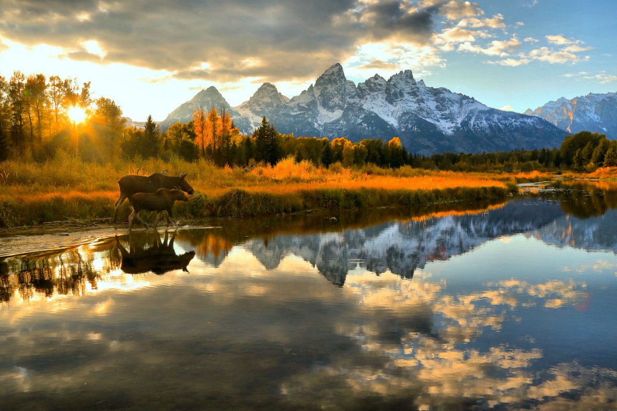 Interior's tweet image. Wow! Taking 3rd Place in the Share The Experience photo contest is this gorgeous scene of 2 moose @GrandTetonNPS by Adam Jewell (sharetheexperience.org) #Wyoming #FindYourPark