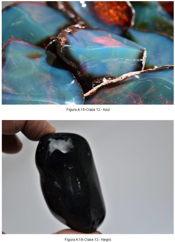 LOS FASCINANTES COLORES DEL ÁMBAR DE CHIAPAS 😍
💙💚💛🧡❤️🖤

El ámbar de Chiapas presenta distintas tonalidades 😍, la más común el amarillo, aunque se puede encontrar en colores café, jaspeado, chocolate, naranja, verde, rojo, azul hasta blanco y negro.
#Ámbar #Amber 
#Chiapas