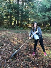 KyleWeens's tweet photo. FOR IMMEDIATE RELEASE: Premier Kenney just signed an #ABPoli environmental protection order issued by Environment Minister Jason Nixon that mobilizes ALL Albertans to grab their vacuums &amp; rakes &amp; begin raking the forest floor. Team UCP stepping up TO FIGHT CLIMATE CHANGE #aBLEG https://t.co/eitVUtORby