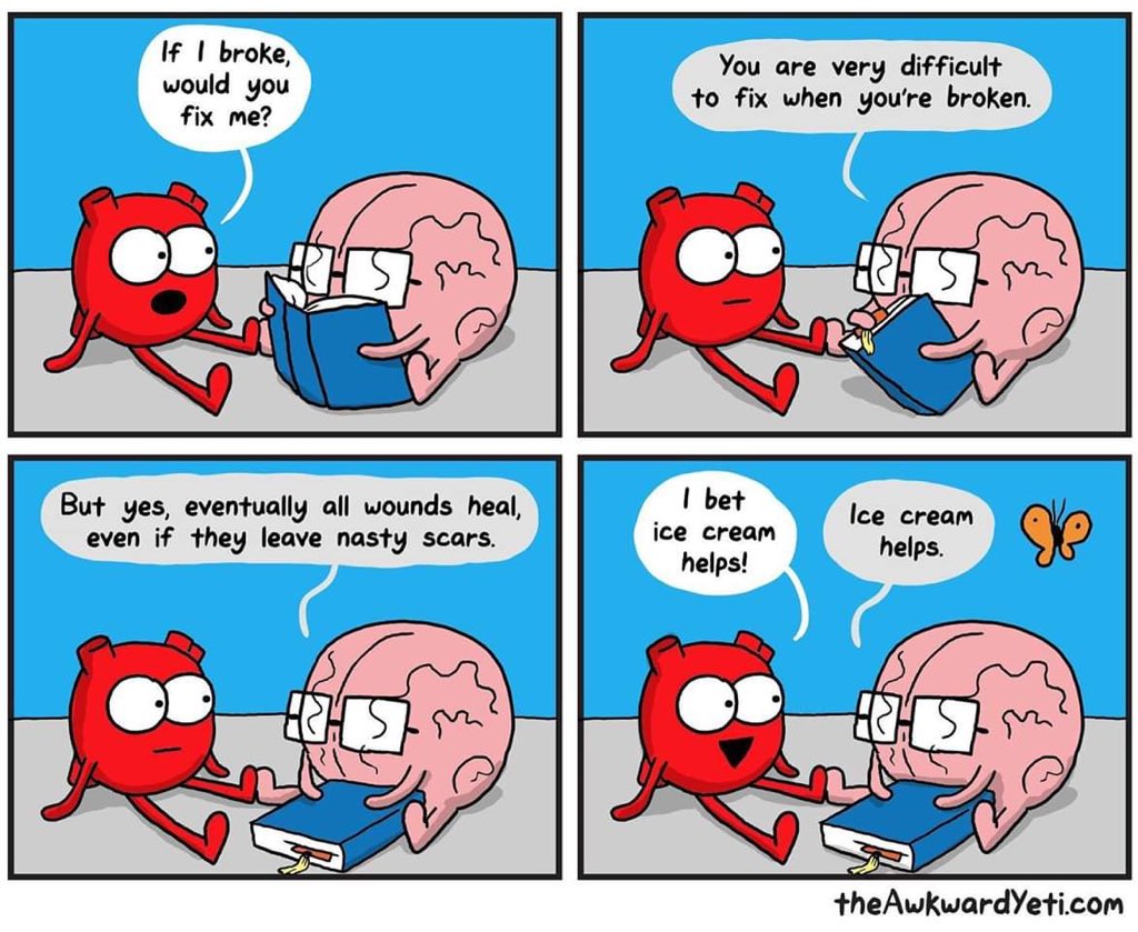 AliceLCrane's tweet photo. #heartandbrain #icecreamconquersall #icecreamispatient #icecreamiskind #icecreamtrumpshate #icecreamisicecream #makeicecreamnotwar https://t.co/Ec1orsJ9UX