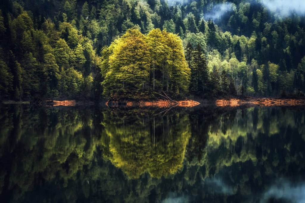 wallpaperRedd1t's tweet photo. Reflection [2048x1356] https://t.co/2IZEgCfMqr