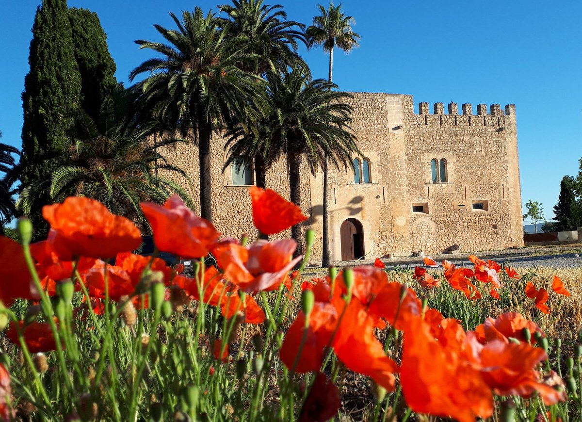 MuseuManacor's tweet photo. Manacor està de festa.Bones festes de la primavera a tothom!
Manacor está de fiesta. Felices fiestas de la primavera  todos!
Manacor is celebranting. Congratulations to all.

#museudemanacor #cultura #elmuseuelfastu #tradicions #festa #sensefiltres #viumanacor #primavera #rosers https://t.co/9zrXEBFk2W