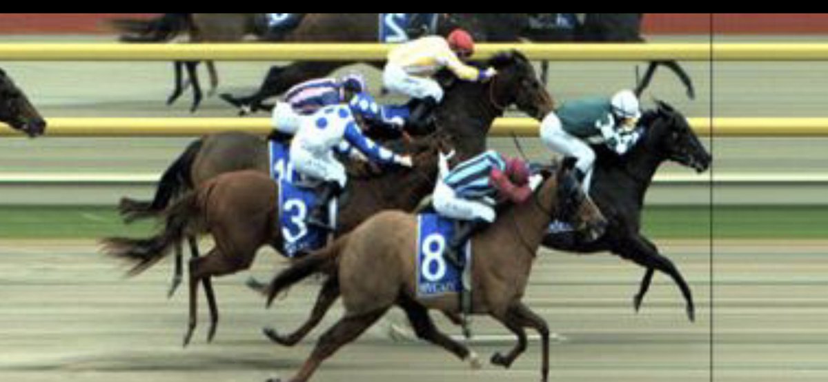 Yargi Racing tweet media