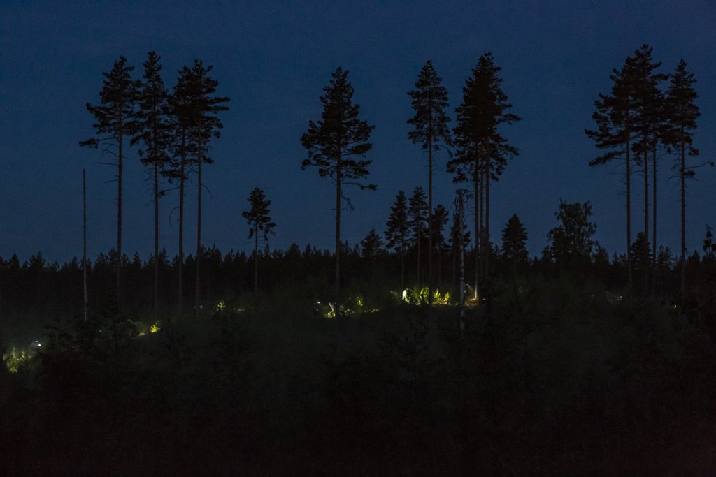 JukolanViesti's tweet photo. Kangasala-Jukolaan 20592 suunnistajaa! Lue lisää: https://t.co/y1X01zKX5v
20592 orienteers to Kangasala-Jukola! Read more: https://t.co/QaeiGqyDLb
Kuva/photo: Antti Harkko
#kangasala #jukola #suunnistus #orienteering https://t.co/IAtKfnXUdZ