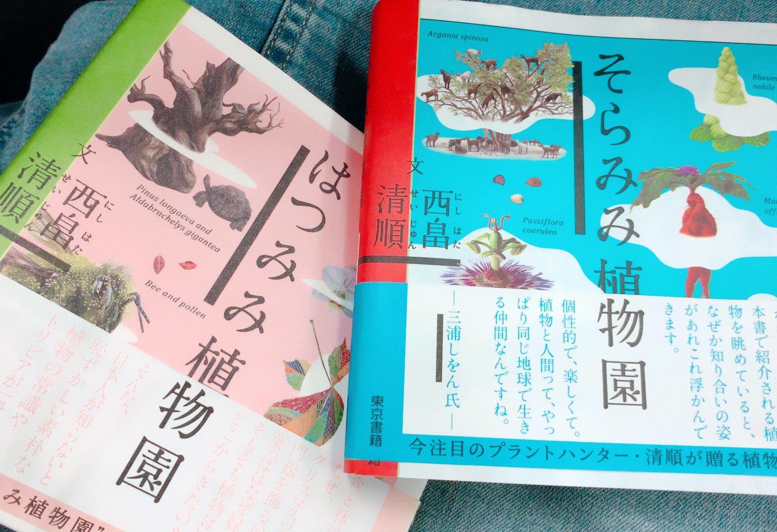 そらみみ植物園 Twitter Search Twitter