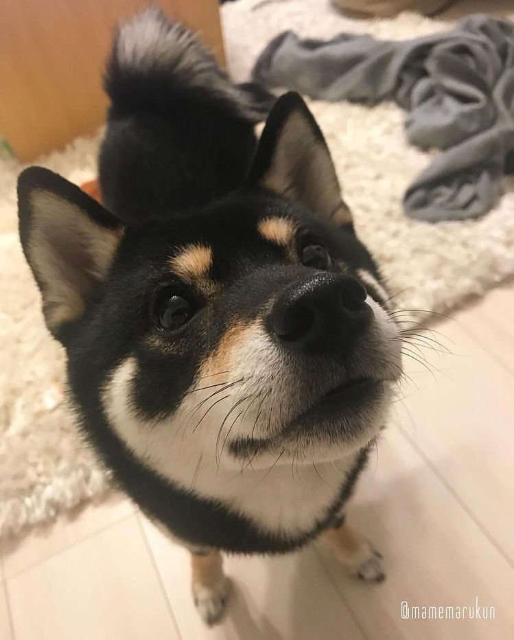 / / i see no difference