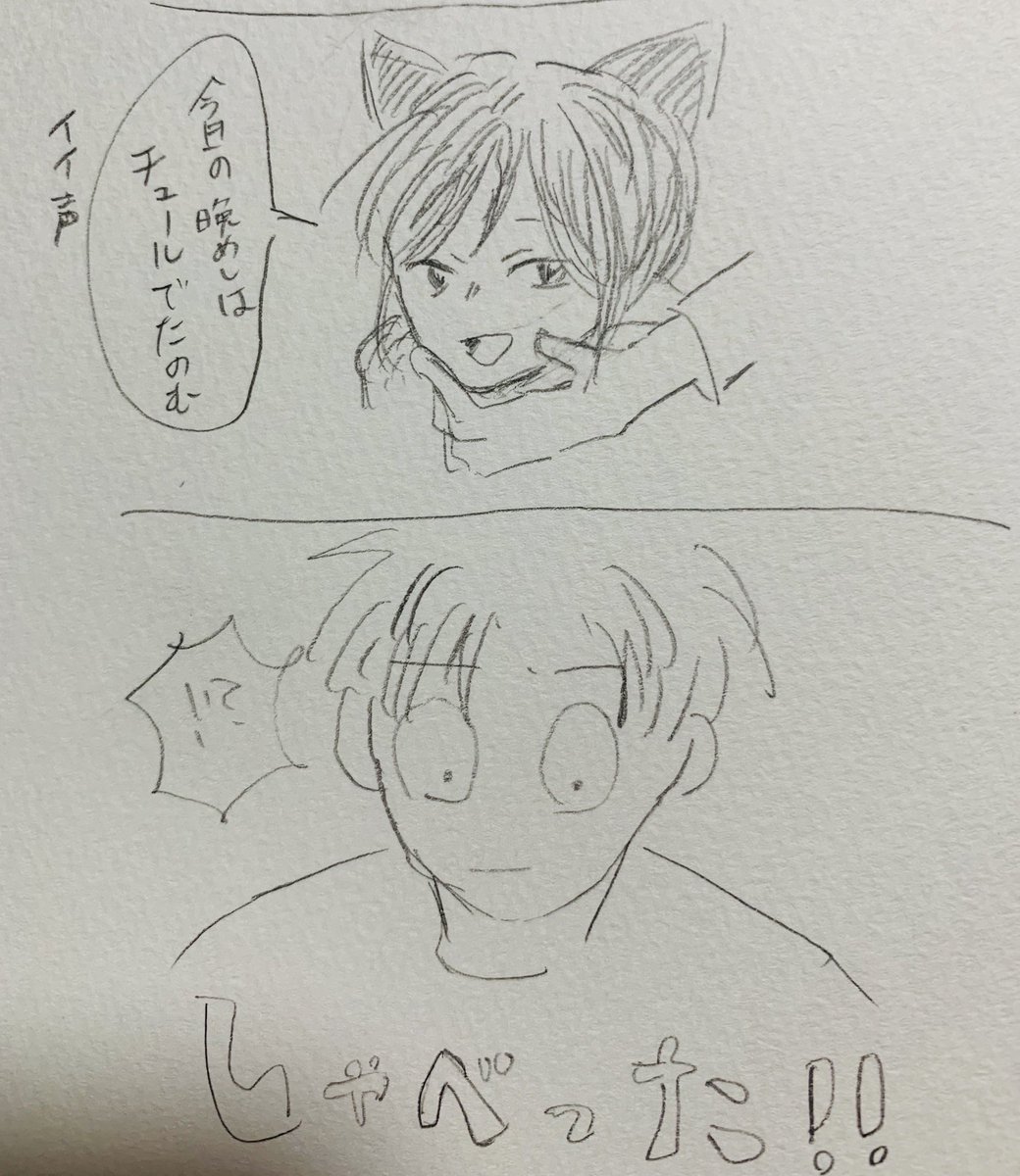 昨日描いたやげねこと長谷部です