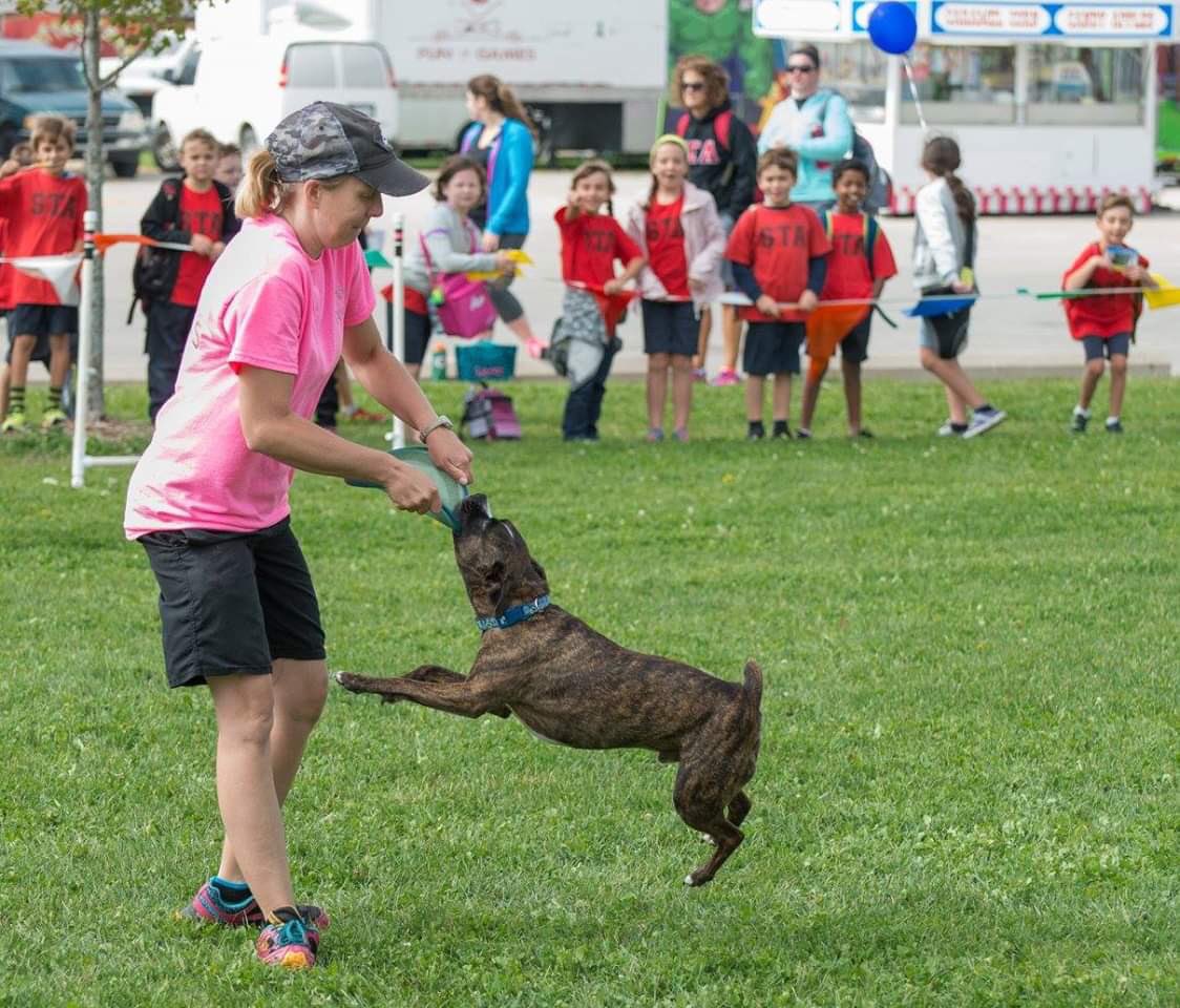 PDRhowler's tweet photo. The Fab Fido’s will be performing a trick/disc demo at the #howler on June 8! Make sure to catch one of their shows and check out their area for great merchandise by Pandemonium Pet Products.

Demo schedule on website: https://t.co/kSdAvdkfvL https://t.co/sWBfFBIBOL
