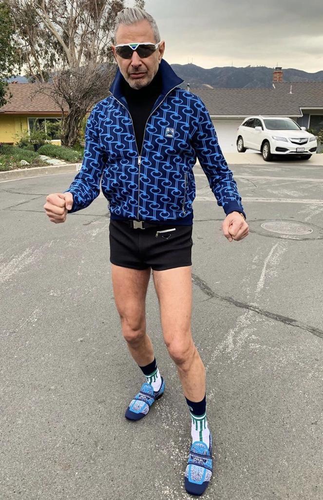 fashionable Jeff Goldblum to bless your feed
