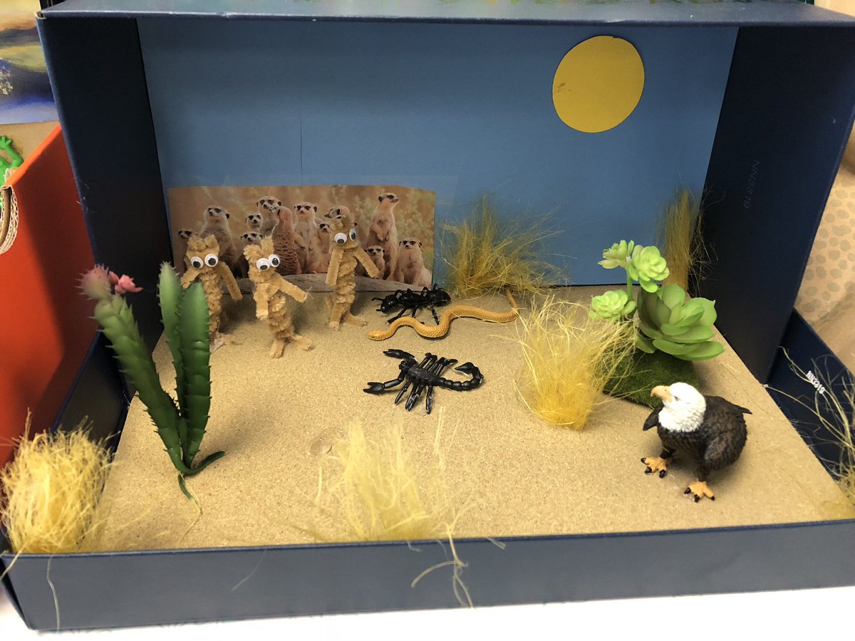 megansaw3's tweet photo. I’m always impressed with my students biome boxes! #desert #forest #grassland #tundra https://t.co/NqWFvByOpf