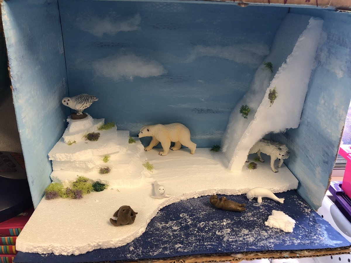 megansaw3's tweet photo. I’m always impressed with my students biome boxes! #desert #forest #grassland #tundra https://t.co/NqWFvByOpf