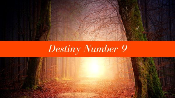 11numerology's tweet photo. "The challenges of 9 come from a tendency to become self-centered if you ignore your calling of helping others." https://t.co/IcRqHARtMQ #Spirituality #SupernaturalInsight #Destiny #DestinyNumber9 https://t.co/eOSLXU5dt3