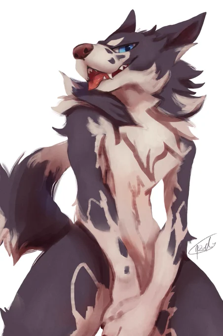 Doggo 