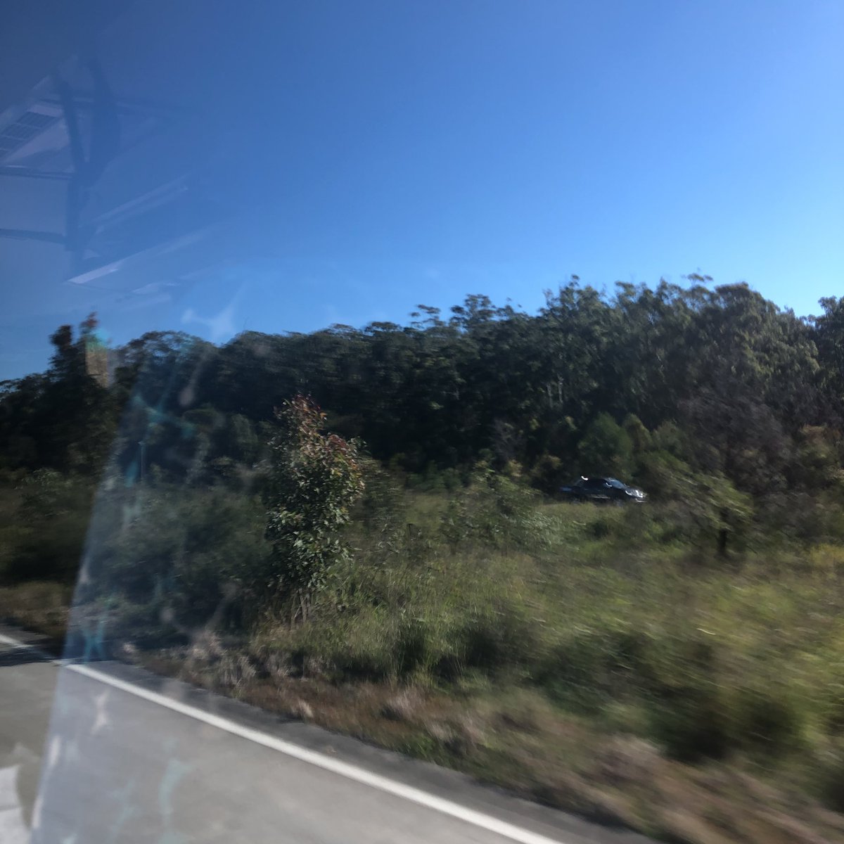 merrylandseast's tweet photo. Stage 3 have had an awesome time at the Great Aussie Bush Camp. They are all safely packed into the coach and are on their way home!
#stage3Camp https://t.co/29l8OkMweC