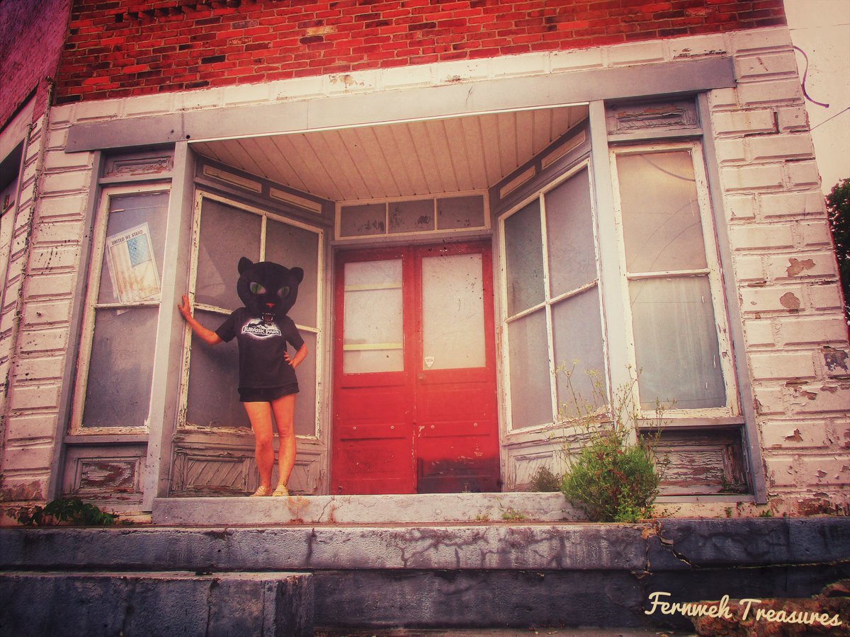 MorriganFrey's tweet photo. Purrrfect day for photos 🥰🦇
#maskimals #horror #blackcats #gothic #columbiatn https://t.co/3Vb49oKBkE