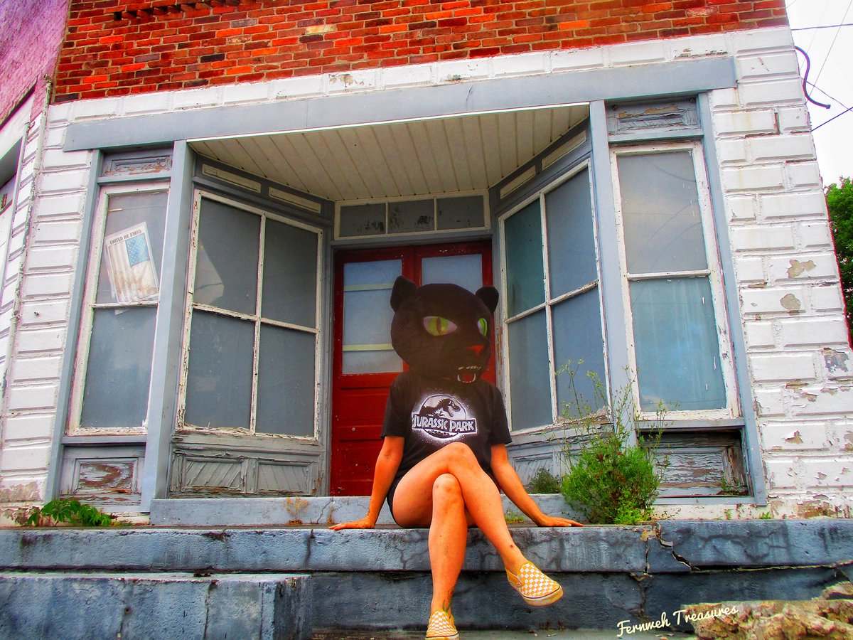 MorriganFrey's tweet photo. Purrrfect day for photos 🥰🦇
#maskimals #horror #blackcats #gothic #columbiatn https://t.co/3Vb49oKBkE