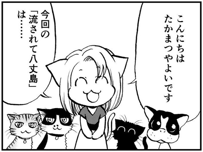 たかまつやよい 島暮らしエッセイ Takamatsuyayoi8 さんのマンガ一覧 3ページ ツイコミ 仮