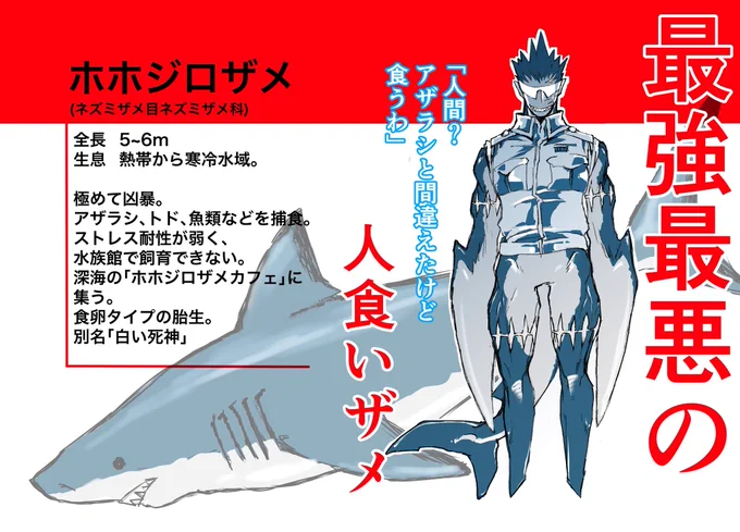 サメ軍擬人化。
タグをまとめます

#稲羽事変
#サメ 