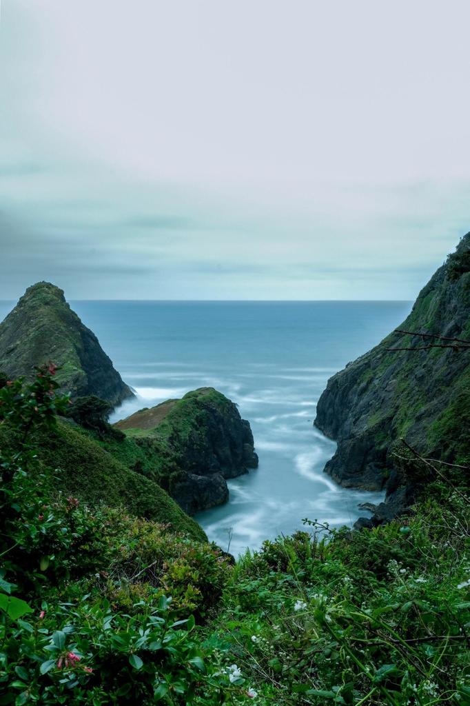 ThriveologyBook's tweet photo. Oregon Coast [4139x6208] [OC] via https://t.co/yJHzN2rqiO https://t.co/QpDtRQrz82