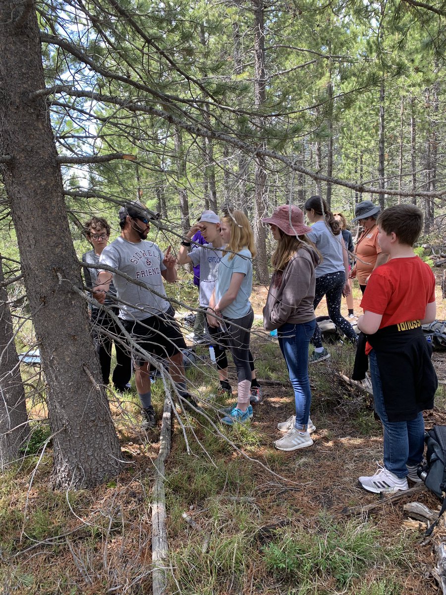 shaunsmith3rd's tweet image. Awesome hike today to Taggart Lake. We learned how to identify trees. Wonderful view of the “Grand” Teton! #TetonsCPS @Szydlowskim