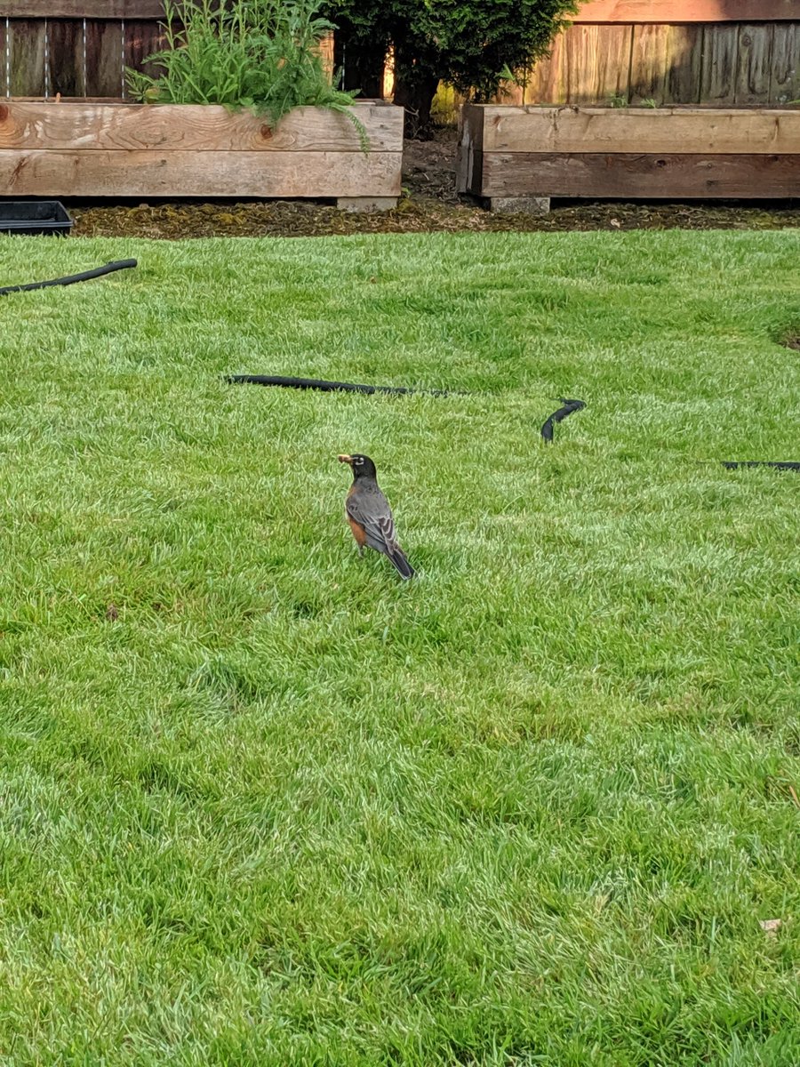 trash mans, thriving in hell tweet media