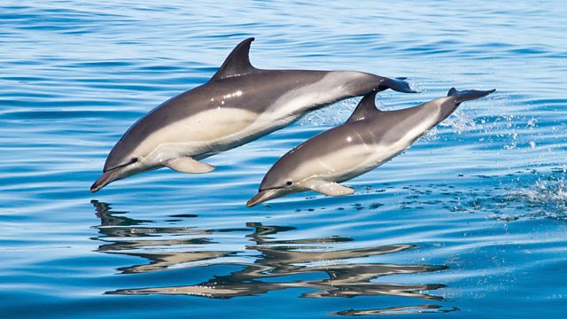 LewisPugh's tweet photo. GREAT NEWS for our precious ocean wildlife! England has today created 41 new marine conservation zones. 🦀🐠🐬 Thread👇 https://t.co/PGZ5srOAIz