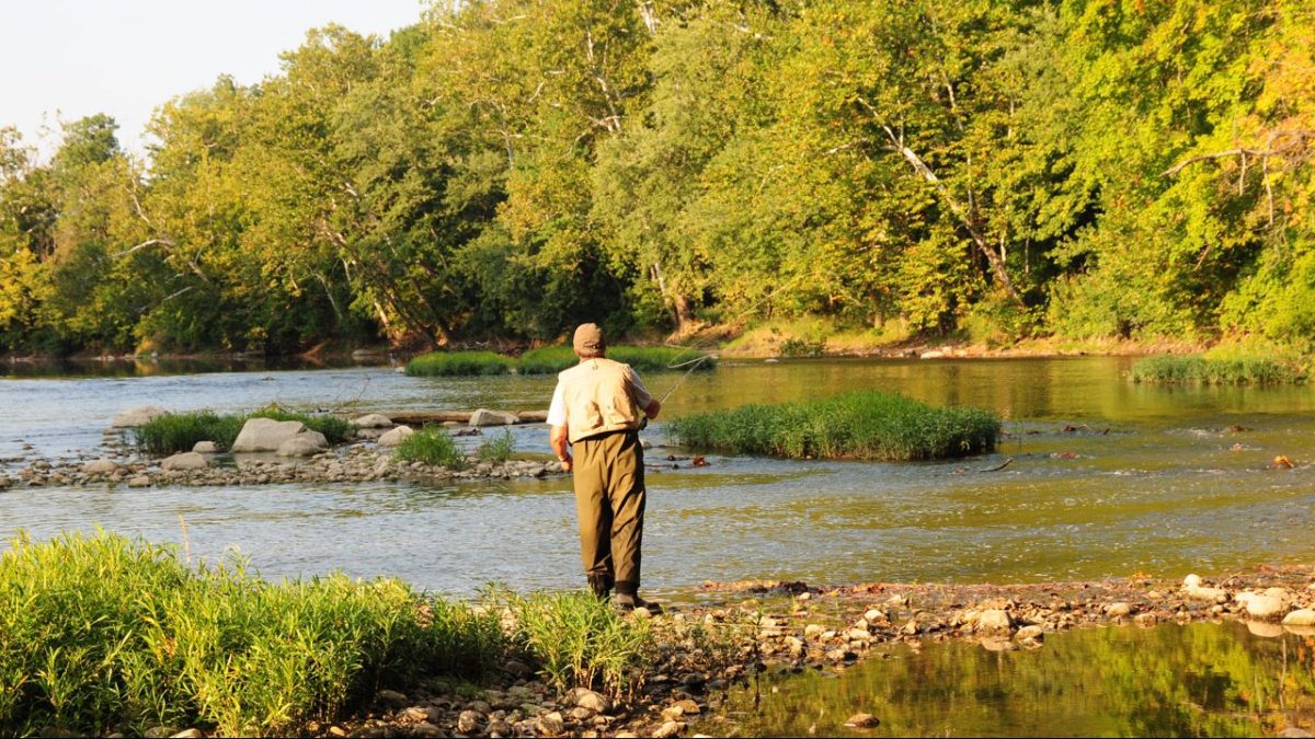 Final Free Fishing Days for #Indiana are Friday and Saturday dlvr.it/R5lPTv