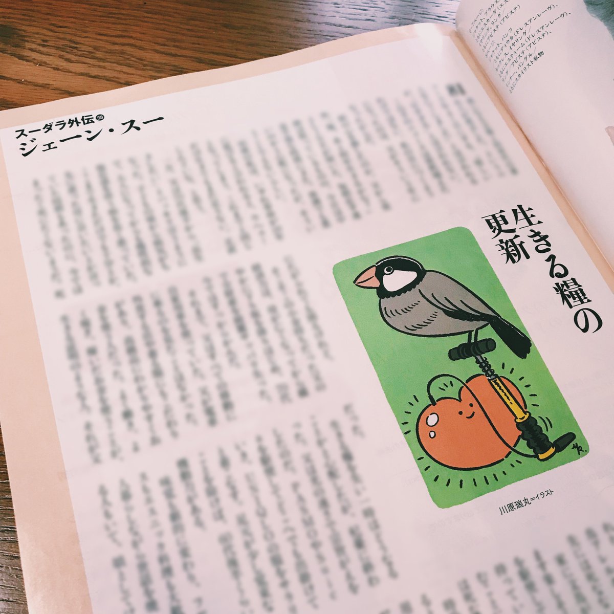 婦人公論のジェーン・スーさん連載では文鳥を描きました。 
