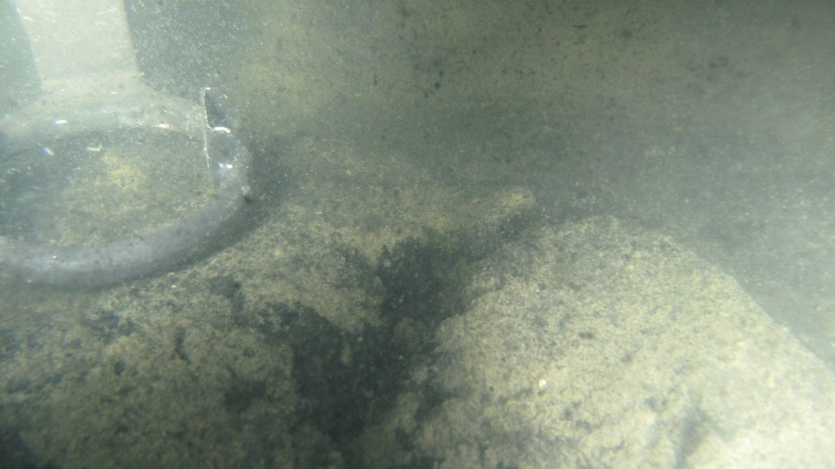 Start för sanering av giftiga fiberbankar t.sr.se/2QDkvCv