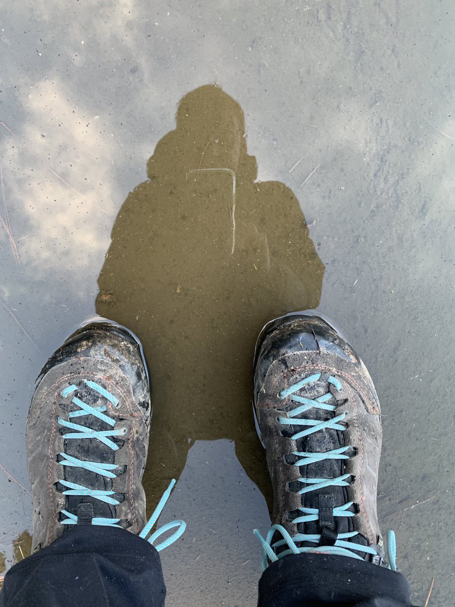 #winterwalker #wellbeing #wpstaupo