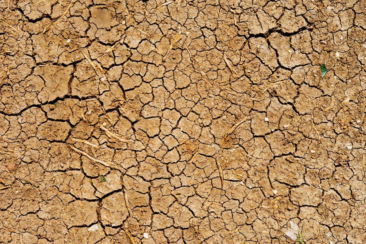 vimlendu's tweet image. River Godavari has run dry, Chennai lakes have run dry(people supplied sewage-like water), Maharashtra districts are in acute drought situation, borewells in Bangalore are dry. Wonder where the 'angry' prime time anchors are and why we not discussing this and finding a solution??