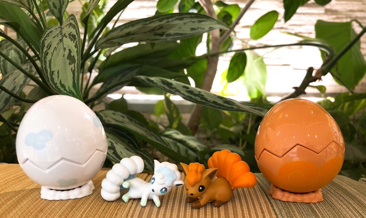 ポケモンとタマゴのポット ポケモンとタマゴのポット