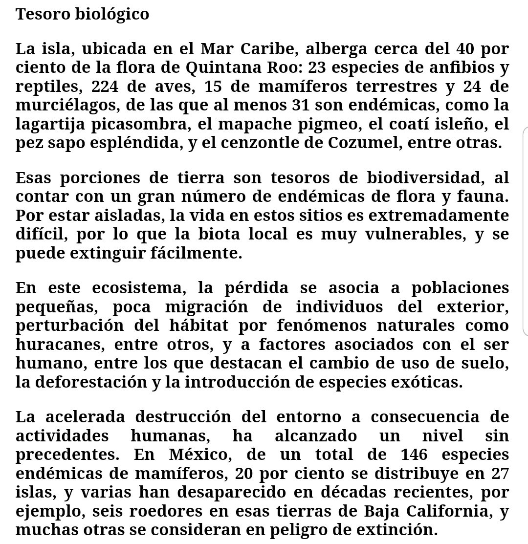 Hillary Hernandez Cetzal tweet media