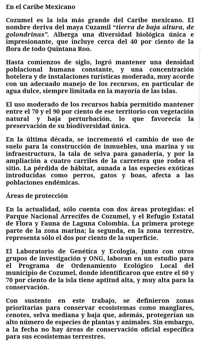 Hillary Hernandez Cetzal tweet media