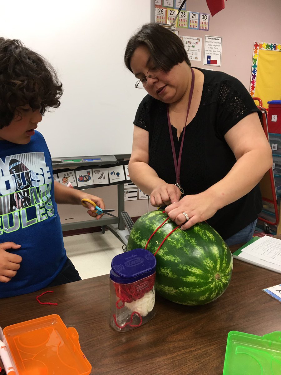 IreneGo71039953's tweet photo. We had so much fun with our watermelon science investigations - sink or float, circumference and how tall. @NISDRabaES #rabaforce #LifeinALE https://t.co/ECCyHHsXd3
