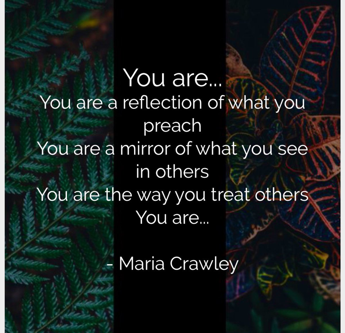 MariaCrawley4's tweet photo. Treat others the way you want to be treated.

#quote #youarewhatyoupreach #writer #writing #love #kindness #mirror https://t.co/Kn8eZYqSWt