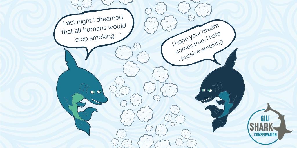 Gili Shark Conservation tweet media