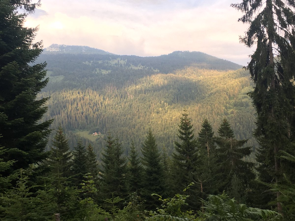adnan imeri (@adnan_imeri) on Twitter photo Celebreting honeymoon in the mountains. Just another unique way of living. Too much civilization for <a href="/SerbianPM/">Aна Брнабић</a> to understand it! #PeopleFromtheWoods #literallyjustemergedfromthewoods Celebreting honeymoon in the mountains. Just another unique way of living. Too much civilization for <a href="/SerbianPM/">Aна Брнабић</a> to understand it! #PeopleFromtheWoods #literallyjustemergedfromthewoods
