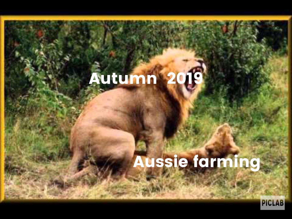 Tim_Roberts82's tweet image. Bye bye autumn, hopefully winter is better behaved!