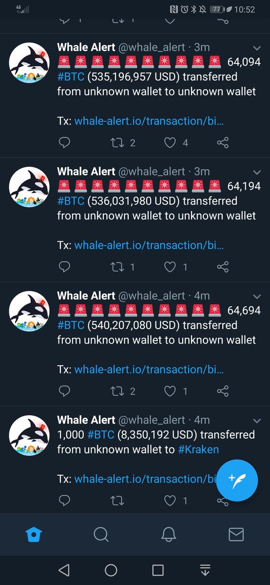 alert whale)