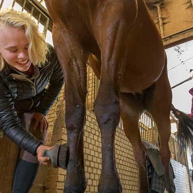 OSG Singelland tweet media