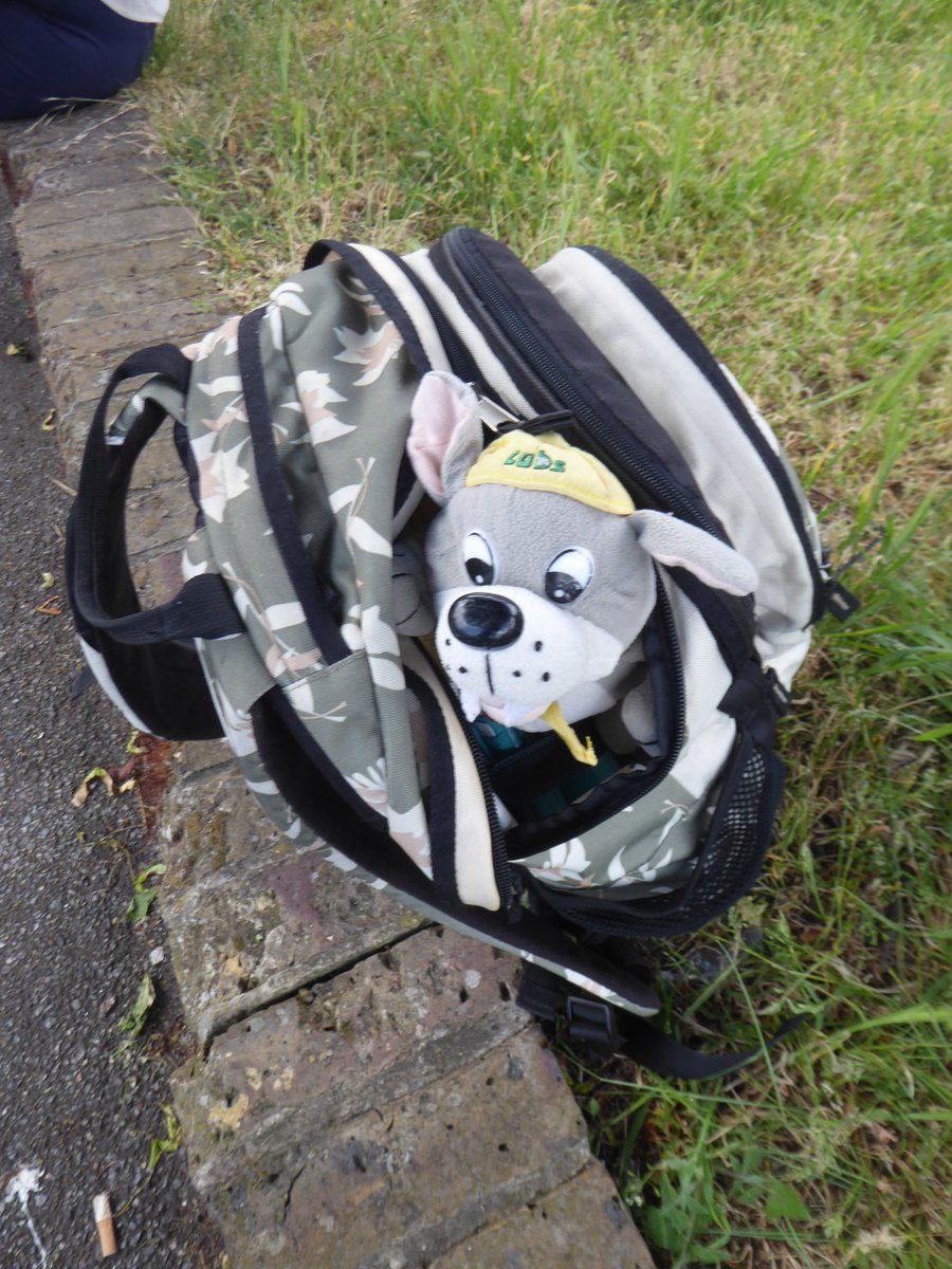 SuttonSnaggles tweet media