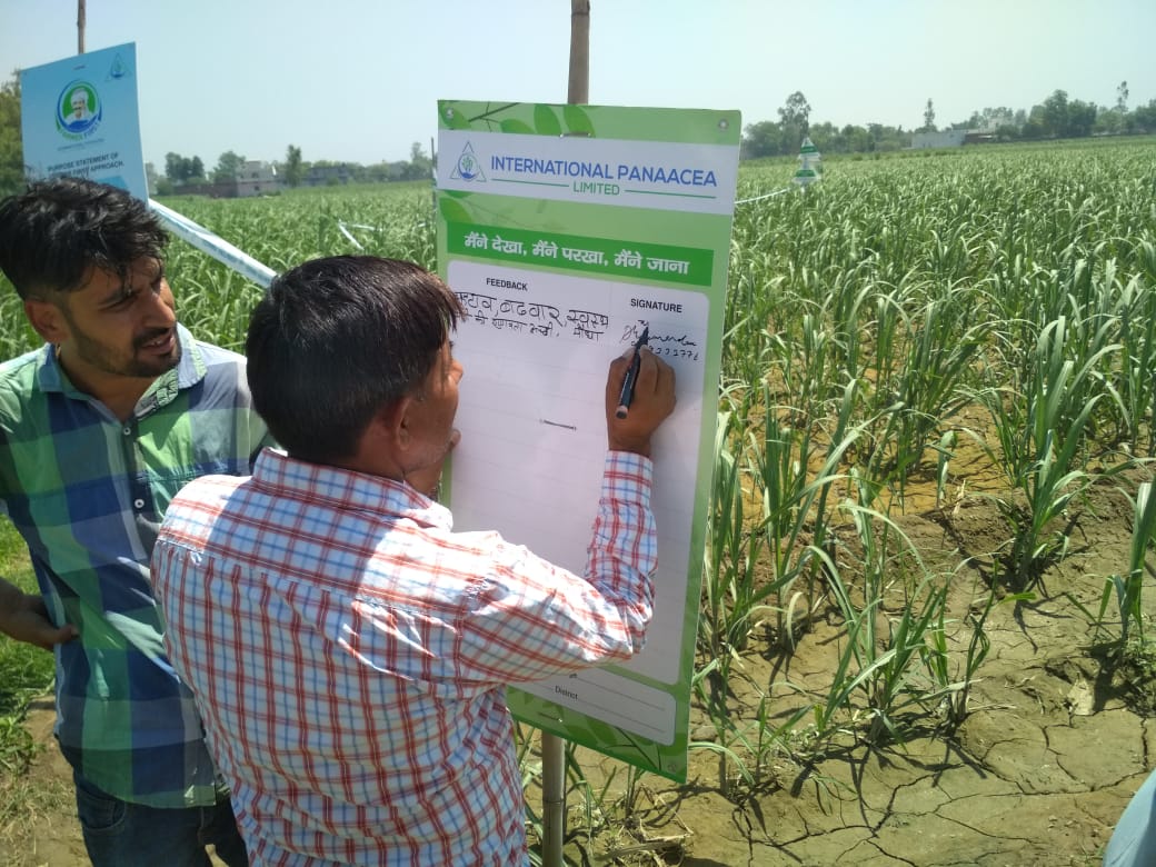 IPLBiologicals's tweet image. #Farmers of Badhla 8 village of UP participated in Result Differentiation activity on #Sugarcane #crop in which IPL products (#Sanjeevni, #PhasalRakshak, #SoilGold &amp;amp; #Phoster) were used. 
Final result: better #tillering and open broader #leaves
@IPLBiologicals