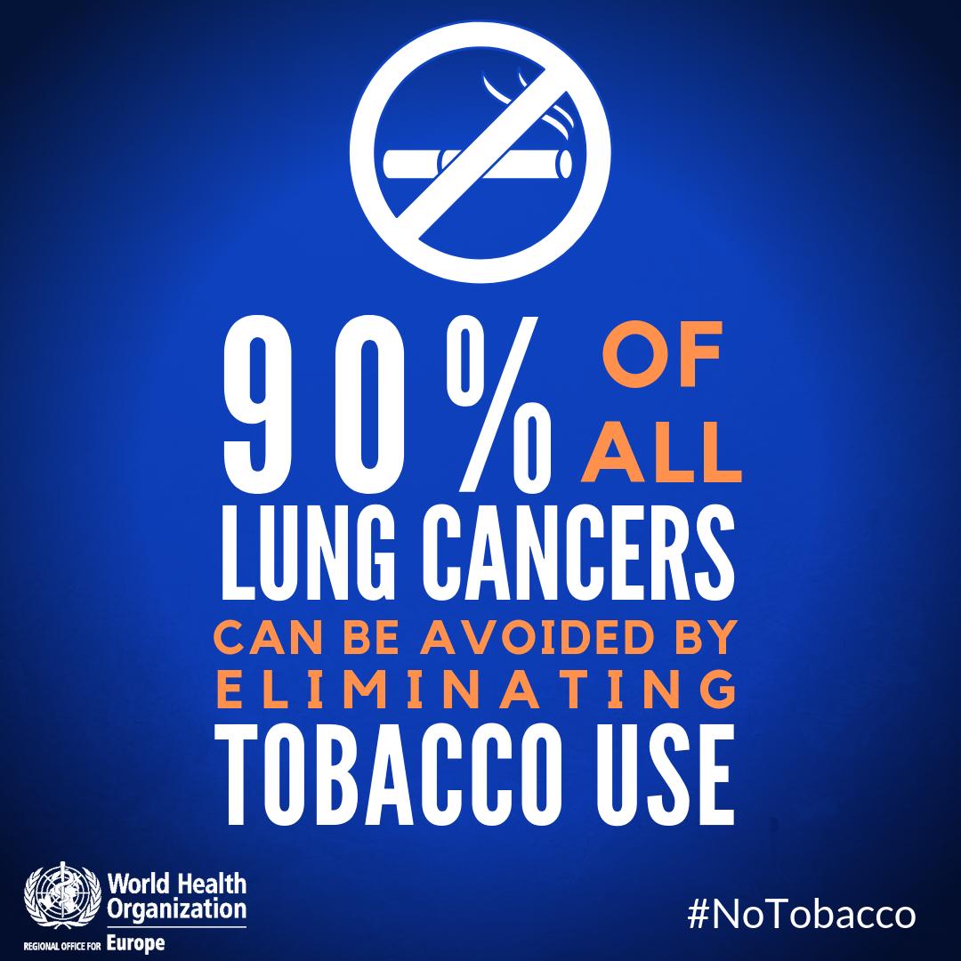 <a href="/MikkelsenBente_/">Bente Mikkelsen</a> <a href="/WHO/">World Health Organization (WHO)</a> <a href="/WHOatEU/">WHO at the EU</a> <a href="/WHO_Europe_RHN/">Regions for Health</a> <a href="/FCTCofficial/">WHO FCTC</a> Today is World No Tobacco Day 🚭 
Tobacco harms lung health in many ways, from cancer to chronic respiratory diseases. Today and every day, don’t let tobacco take your breath away. Choose health, say #NoTobacco!